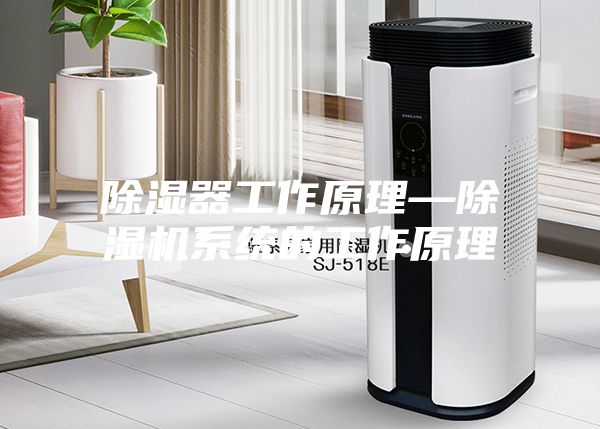 除濕器工作原理—除濕機(jī)系統(tǒng)的工作原理