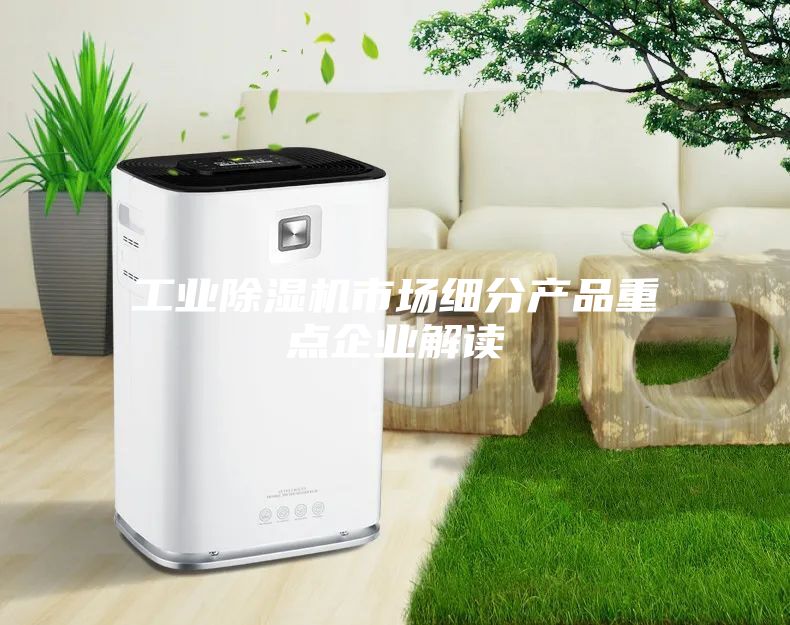 工業(yè)除濕機市場細分產品重點企業(yè)解讀