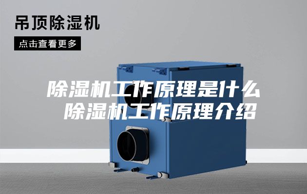 除濕機工作原理是什么 除濕機工作原理介紹