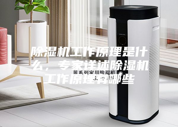 除濕機(jī)工作原理是什么，專家詳述除濕機(jī)工作原理有哪些