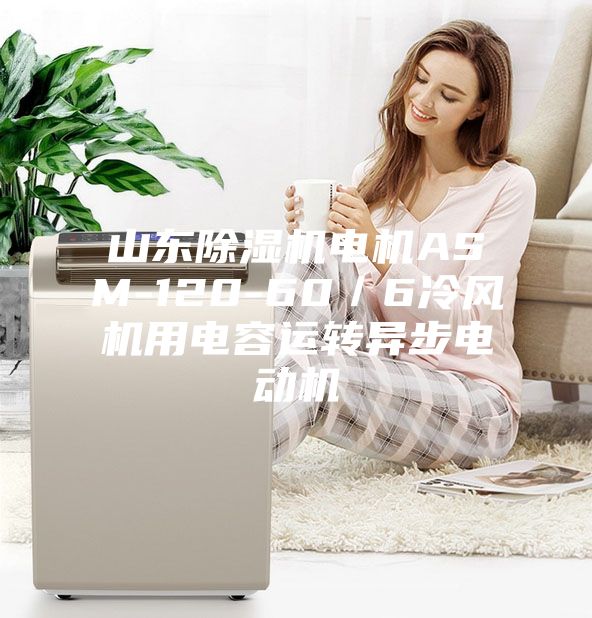 山東除濕機電機ASM-120-60／6冷風機用電容運轉(zhuǎn)異步電動機