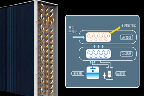 除濕烘干機(jī)-調(diào)溫型管道除濕機(jī)主要功能