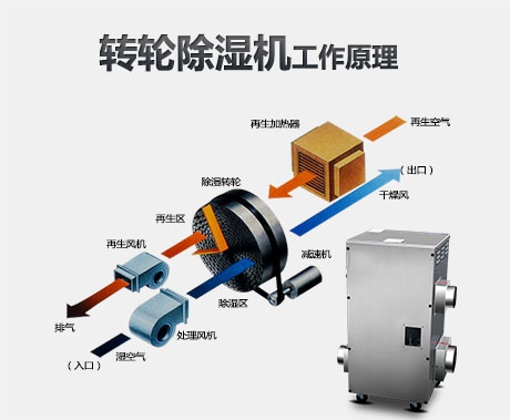 潮濕危害真不小，用除濕機(jī)真見效