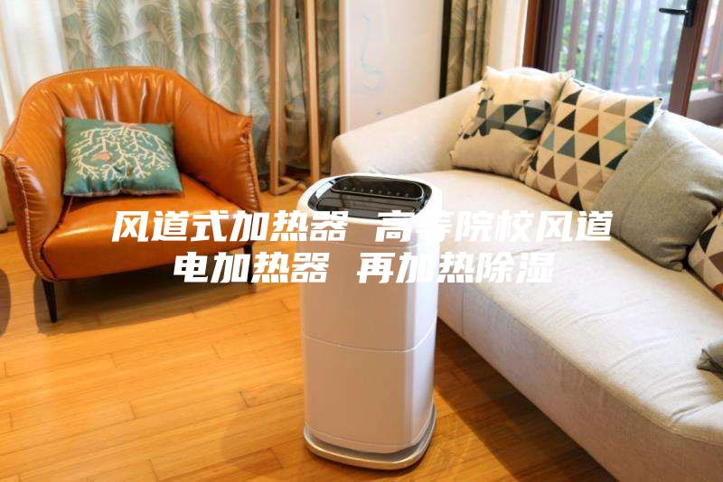 風(fēng)道式加熱器 高等院校風(fēng)道電加熱器 再加熱除濕