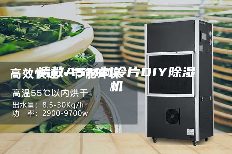 請教ASM制冷片DIY除濕機(jī)