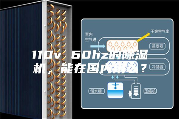 110v 60hz的除濕機，能在國內(nèi)用么？