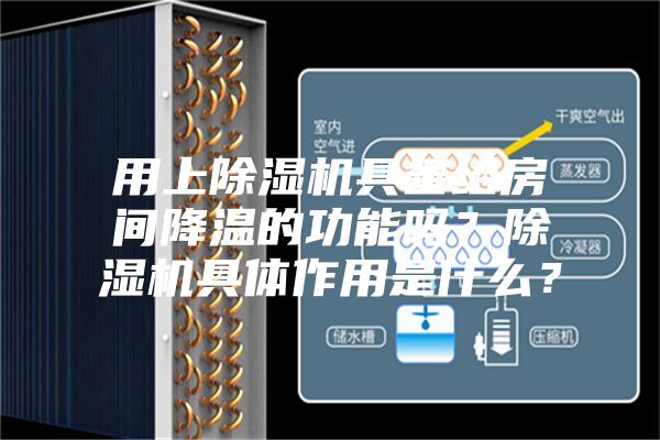 用上除濕機具備給房間降溫的功能嗎？除濕機具體作用是什么？