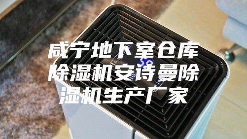 咸寧地下室倉庫除濕機安詩曼除濕機生產(chǎn)廠家