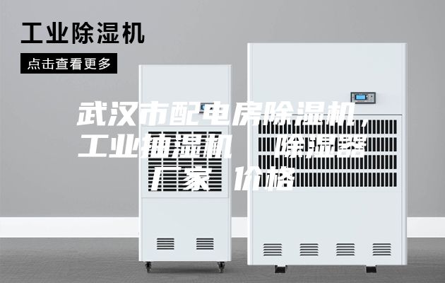 武漢市配電房除濕機(jī)，工業(yè)抽濕機(jī)  除濕器廠家 價格