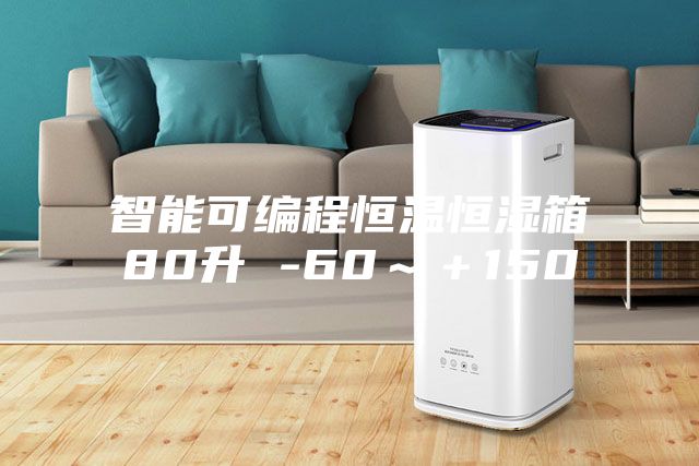 智能可編程恒溫恒濕箱80升 -60～＋150℃