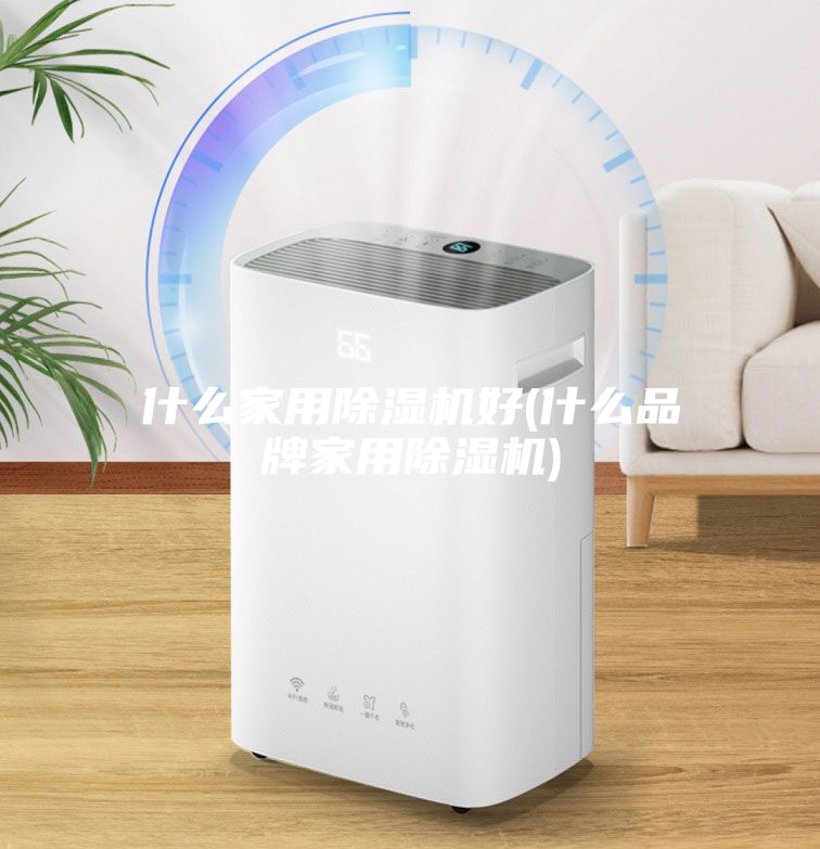 什么家用除濕機(jī)好(什么品牌家用除濕機(jī))