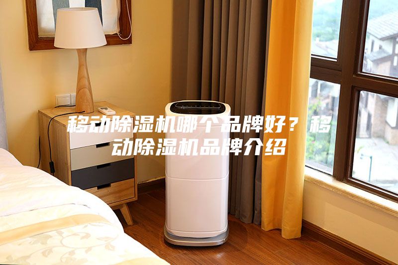 移動除濕機哪個品牌好？移動除濕機品牌介紹