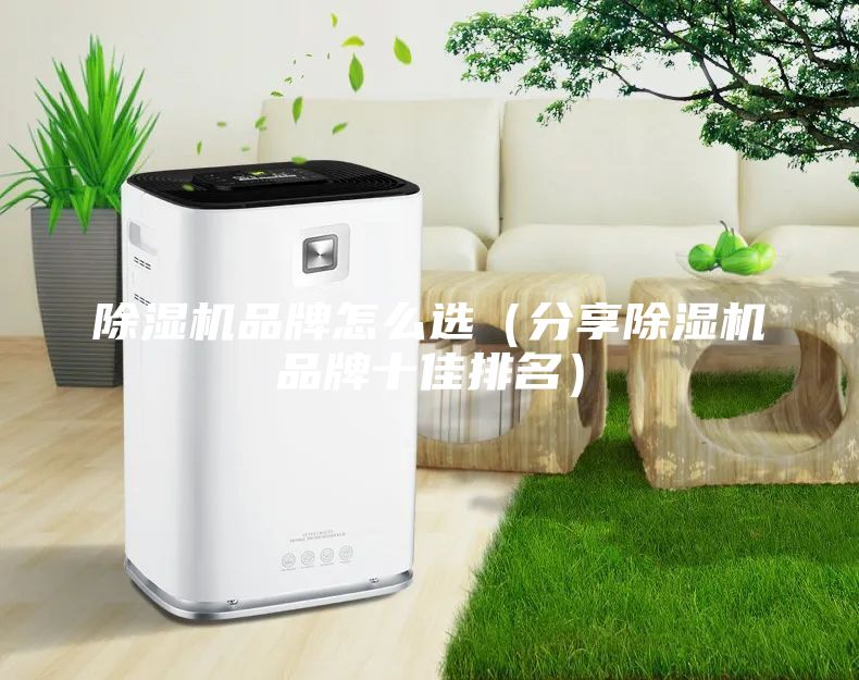 除濕機(jī)品牌怎么選(分享除濕機(jī)品牌十佳排名)