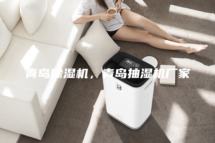 青島除濕機(jī),青島抽濕機(jī)廠家