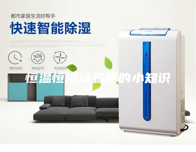 恒溫恒濕試驗(yàn)箱的小知識
