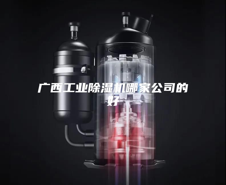 廣西工業(yè)除濕機哪家公司的好