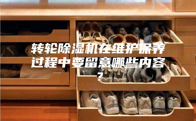 轉輪除濕機在維護保養(yǎng)過程中要留意哪些內容？