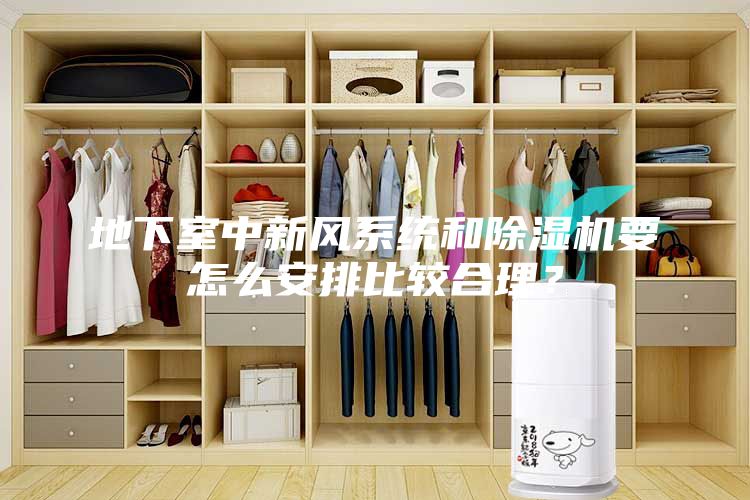 地下室中新風(fēng)系統(tǒng)和除濕機要怎么安排比較合理？