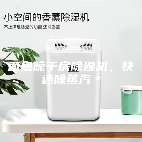 面包晾干房除濕機(jī)，快速除蒸汽＊