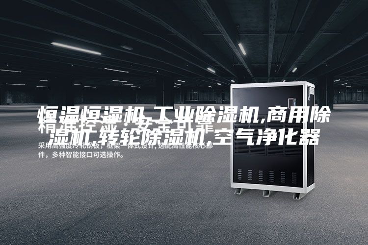 恒溫恒濕機,工業(yè)除濕機,商用除濕機,轉(zhuǎn)輪除濕機,空氣凈化器