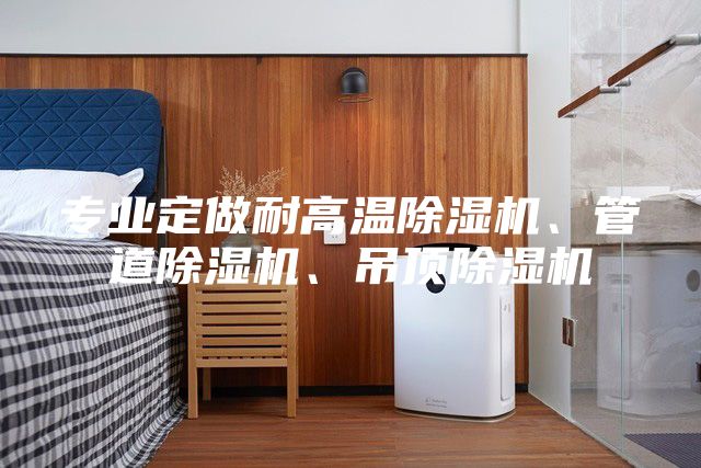 專業(yè)定做耐高溫除濕機(jī)、管道除濕機(jī)、吊頂除濕機(jī)