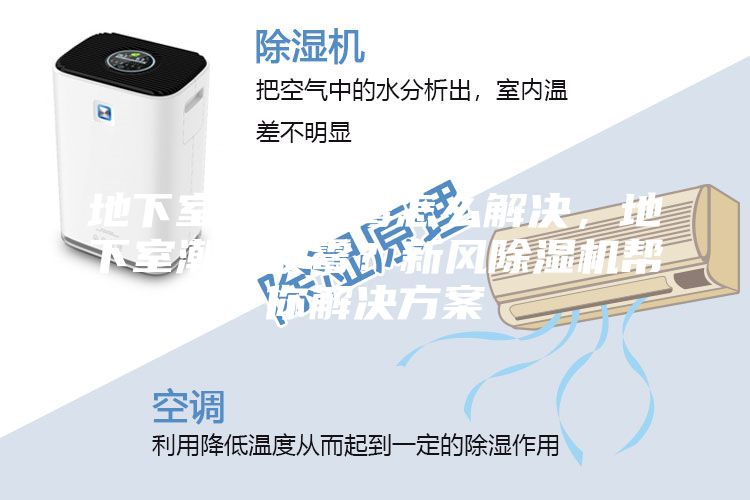 地下室潮濕發(fā)霉怎么解決，地下室潮濕發(fā)霉？新風除濕機幫你解決方案