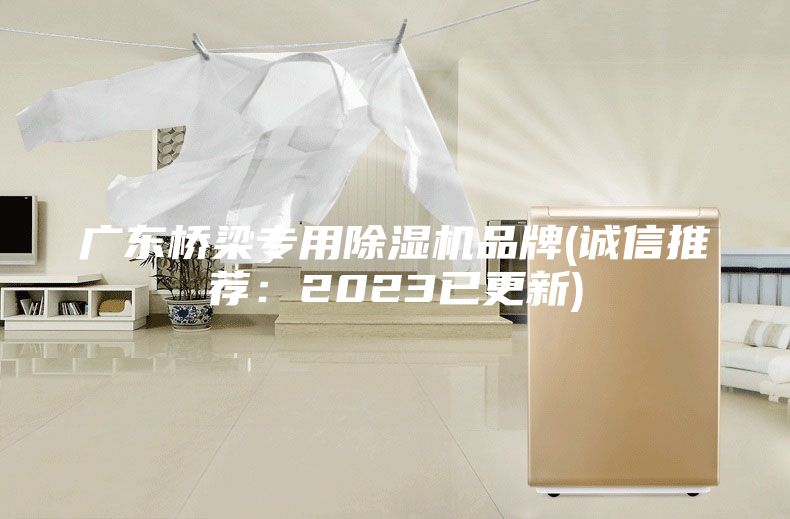廣東橋梁專用除濕機(jī)品牌(誠信推薦：2023已更新)
