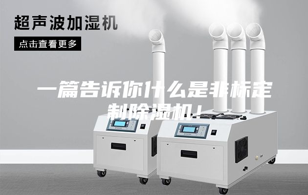一篇告訴你什么是非標(biāo)定制除濕機(jī)！
