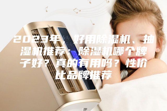 2023年，好用除濕機、抽濕機推薦：除濕機哪個牌子好？真的有用嗎？性價比品牌推薦