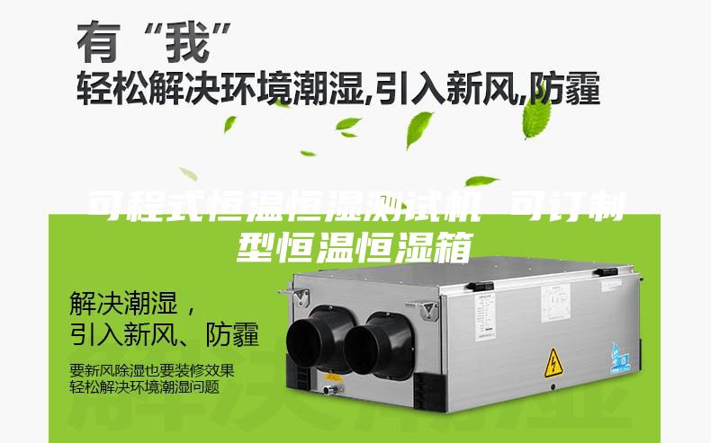 可程式恒溫恒濕測(cè)試機(jī) 可訂制型恒溫恒濕箱