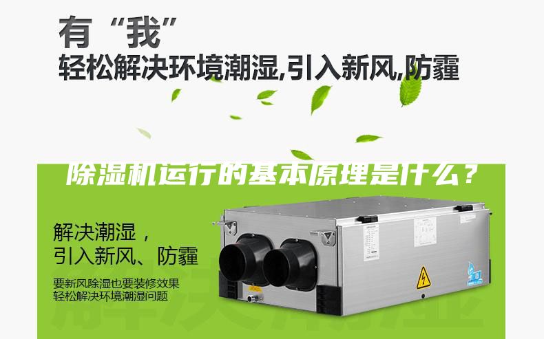 除濕機運行的基本原理是什么？