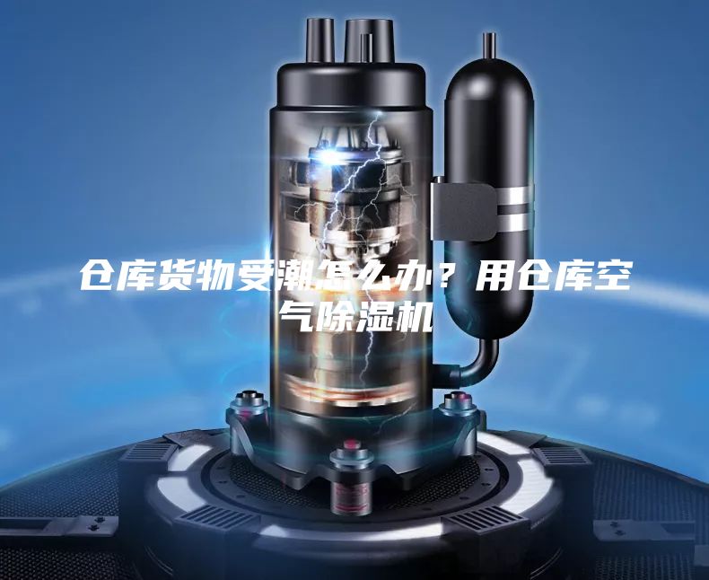 倉(cāng)庫(kù)貨物受潮怎么辦？用倉(cāng)庫(kù)空氣除濕機(jī)