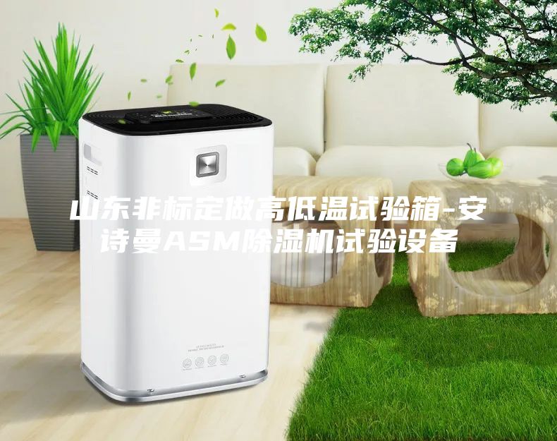 山東非標(biāo)定做高低溫試驗(yàn)箱-安詩(shī)曼ASM除濕機(jī)試驗(yàn)設(shè)備