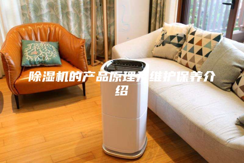 除濕機(jī)的產(chǎn)品原理及維護(hù)保養(yǎng)介紹