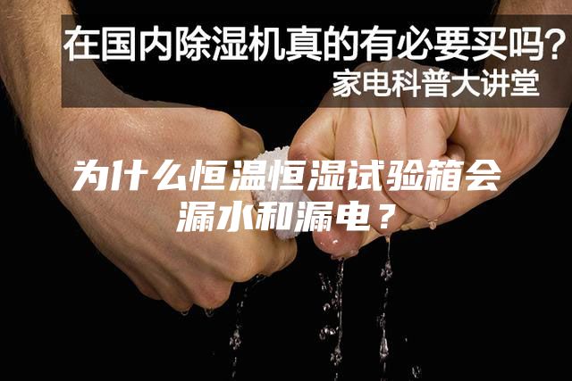 為什么恒溫恒濕試驗(yàn)箱會(huì)漏水和漏電？