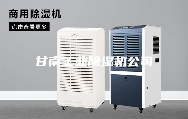 甘南工業(yè)除濕機(jī)公司