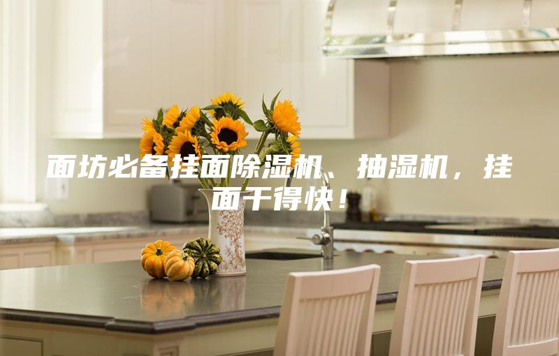 面坊必備掛面除濕機(jī)、抽濕機(jī)，掛面干得快！