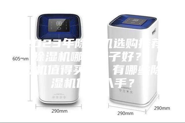 2023年除濕機選購推薦：除濕機哪個牌子好？ 除濕機值得買嗎？有哪些除濕機值得入手？