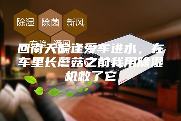回南天偏逢愛車進(jìn)水，在車?yán)镩L(zhǎng)蘑菇之前我用除濕機(jī)救了它