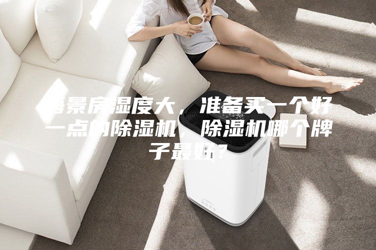 海景房濕度大，準(zhǔn)備買一個(gè)好一點(diǎn)的除濕機(jī)，除濕機(jī)哪個(gè)牌子最好？