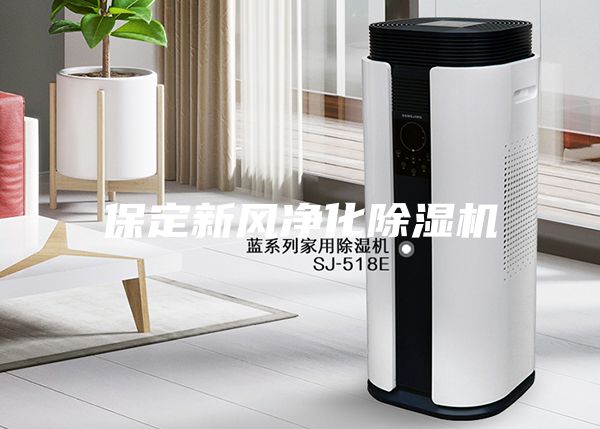 保定新風(fēng)凈化除濕機