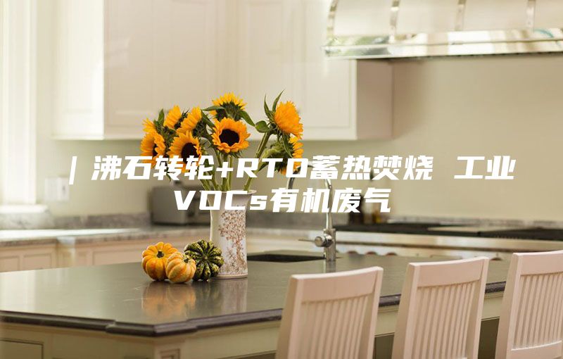 |沸石轉(zhuǎn)輪+RTO蓄熱焚燒 工業(yè)VOCs有機(jī)廢氣