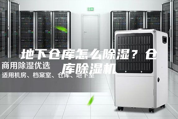 地下倉(cāng)庫(kù)怎么除濕？倉(cāng)庫(kù)除濕機(jī)