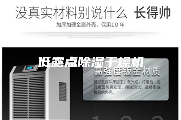 低露點(diǎn)除濕干燥機(jī)
