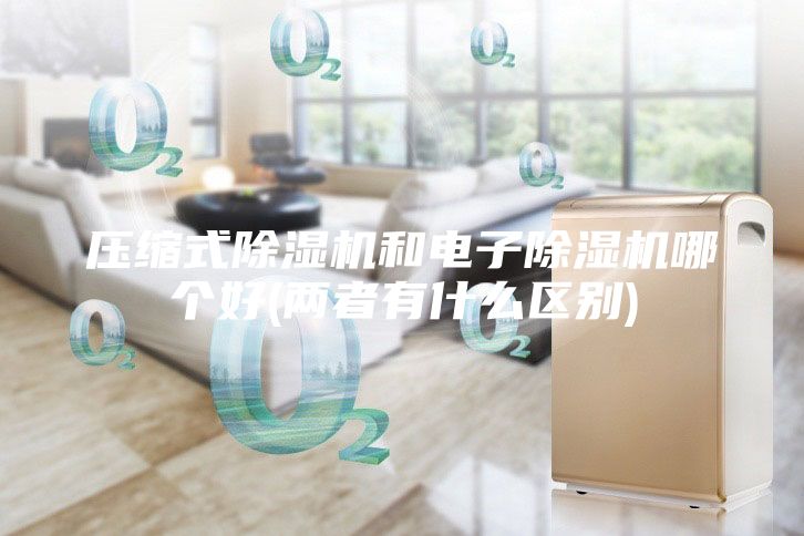 壓縮式除濕機和電子除濕機哪個好(兩者有什么區(qū)別)