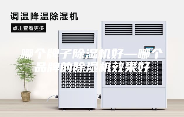 哪個(gè)牌子除濕機(jī)好—哪個(gè)品牌的除濕機(jī)效果好
