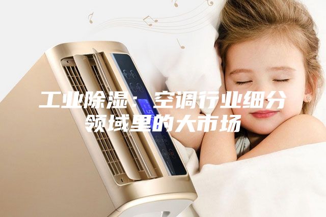 工業(yè)除濕：空調(diào)行業(yè)細(xì)分領(lǐng)域里的大市場