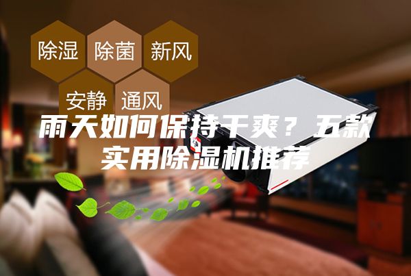 雨天如何保持干爽？五款實用除濕機推薦
