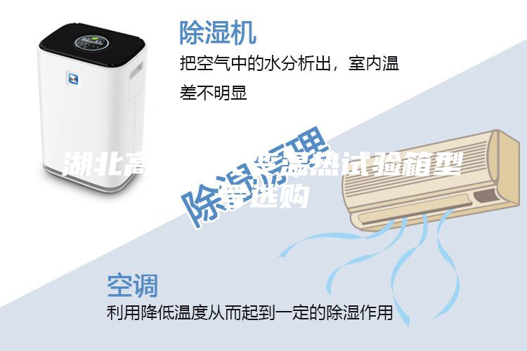 湖北高低溫交變溫?zé)嵩囼?yàn)箱型號選購