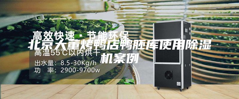 北京大董烤鴨店鴨胚庫(kù)使用除濕機(jī)案例